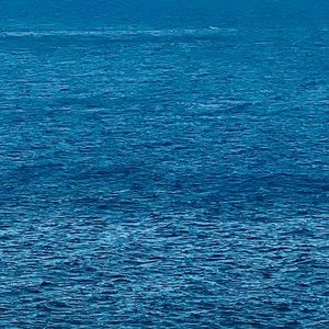 Meet your Posher, Margaret